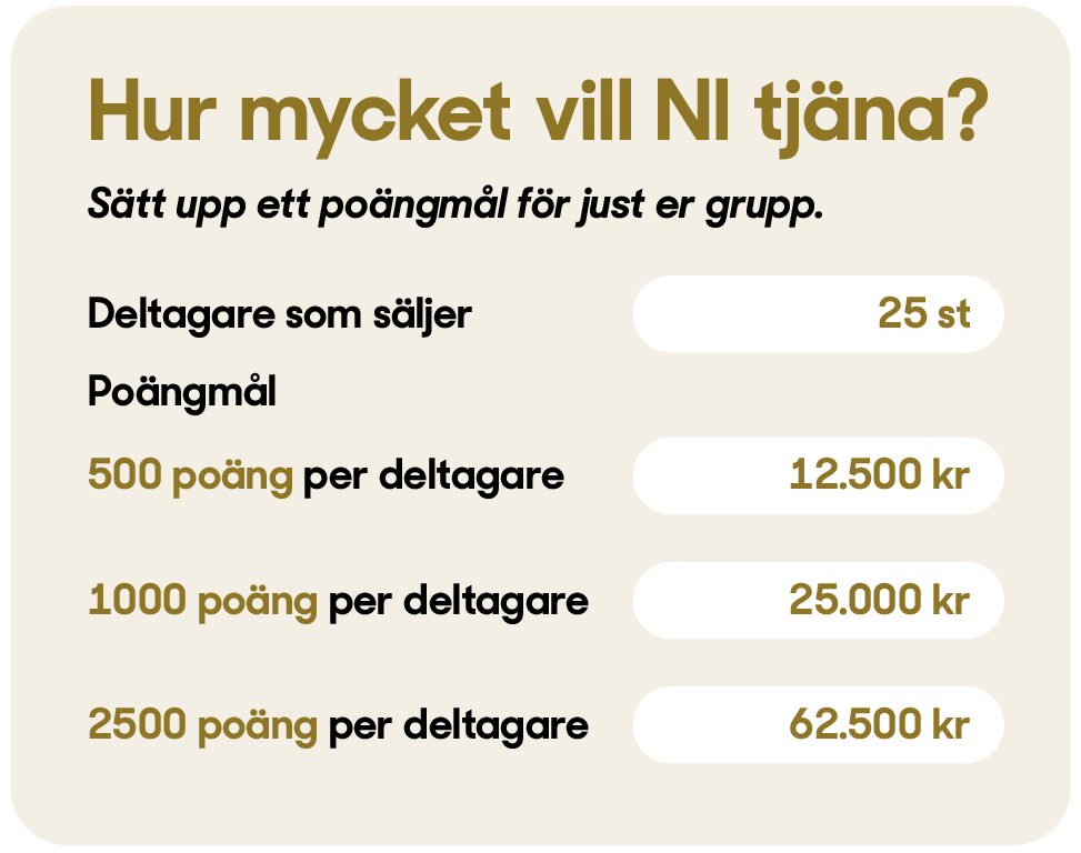 exempel på hur mycket pengar man kan tjäna till klassen